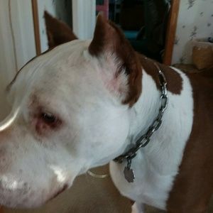 Meet your Posher, Vera